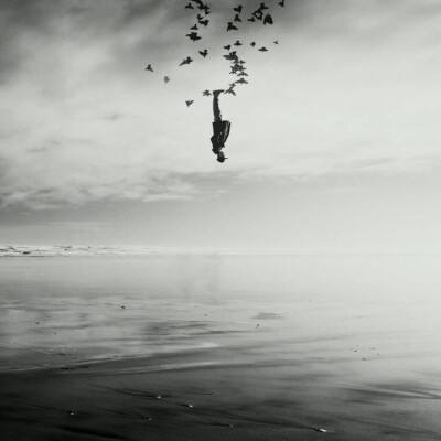 澳门人威尼斯官方