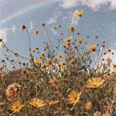 BOB体育综合官方平台APP