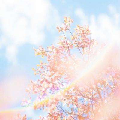 江南平台app下载安装