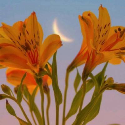 bte365真正的网站下载手机版