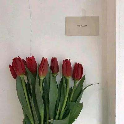 188金宝搏app下载截图