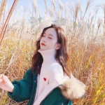 澳门威尼斯人软件